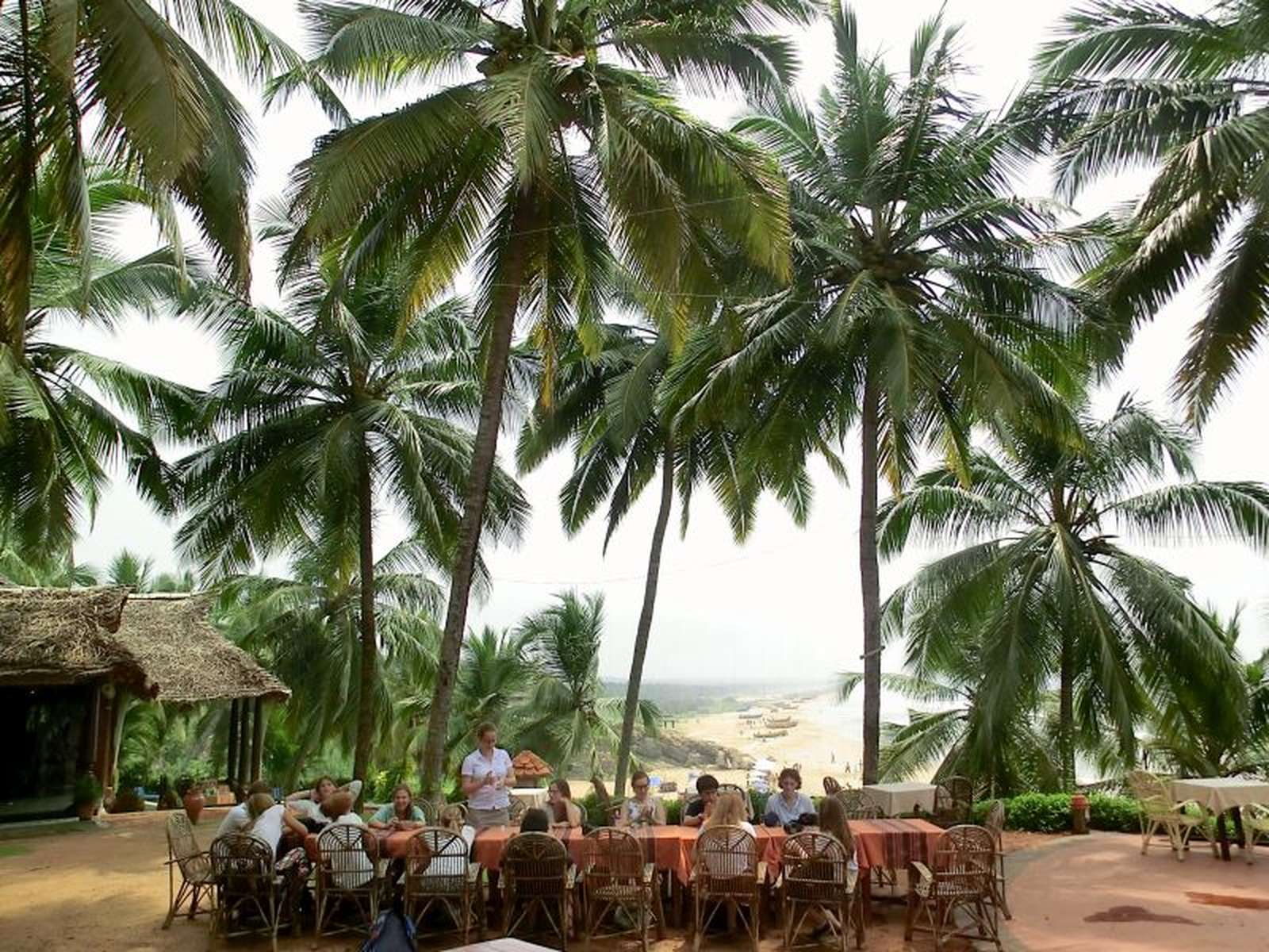 2014 TRINS ayurveda sm