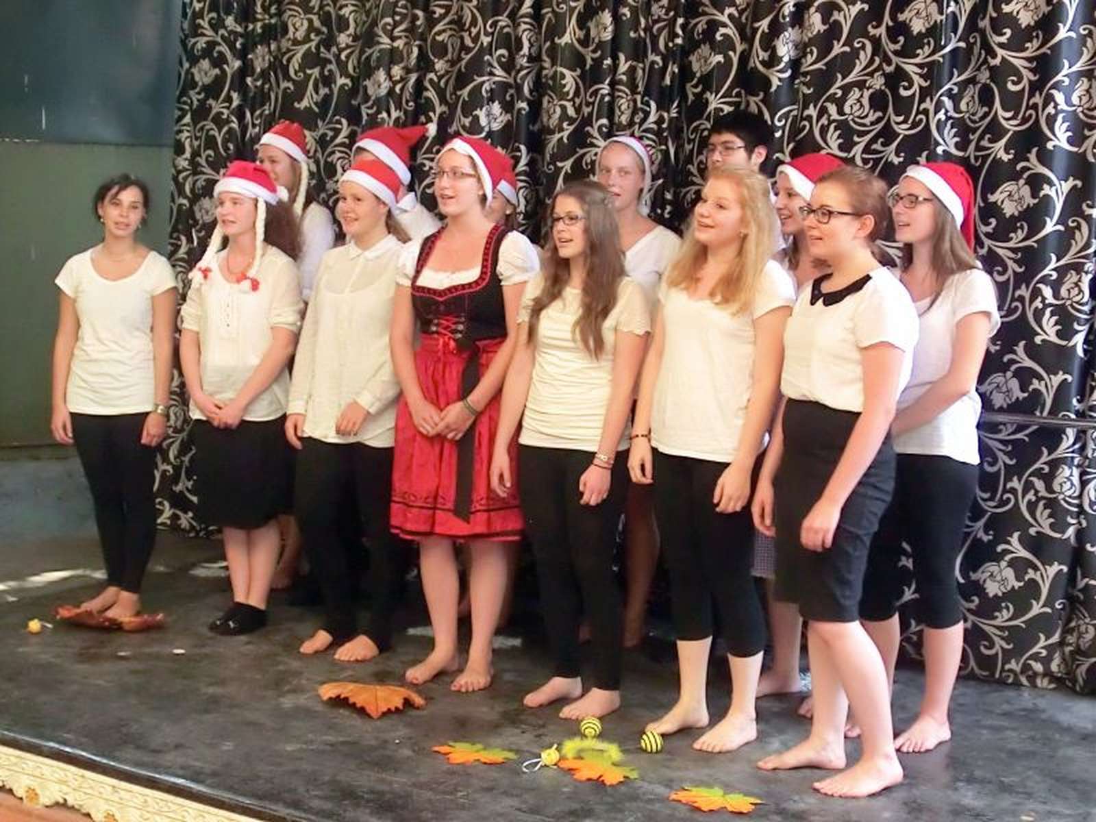 2014 TRINS goethe2 sm